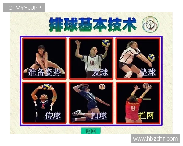 成都排球队的战术解析与技术控制深度研究