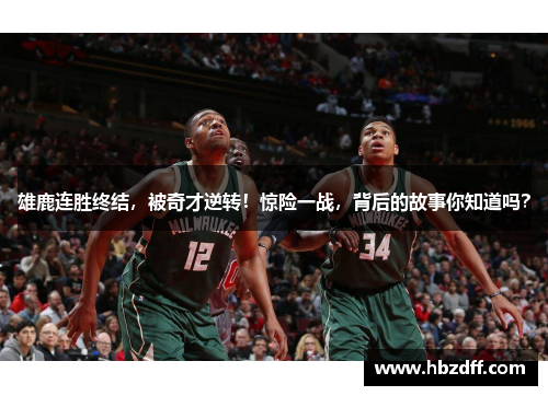 雄鹿连胜终结，被奇才逆转！惊险一战，背后的故事你知道吗？